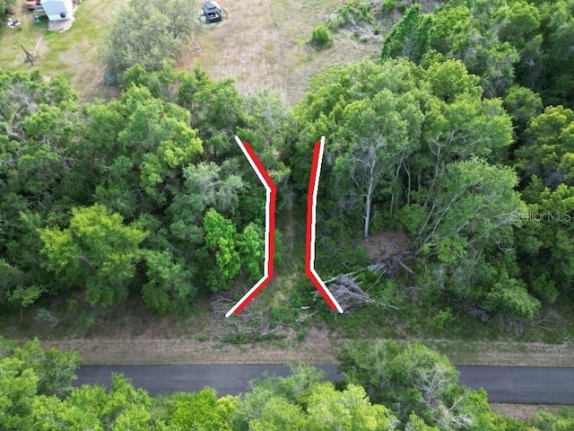 20460-20462 Trilby Cutoff Rd, Dade City, FL 33523 - photo 8
