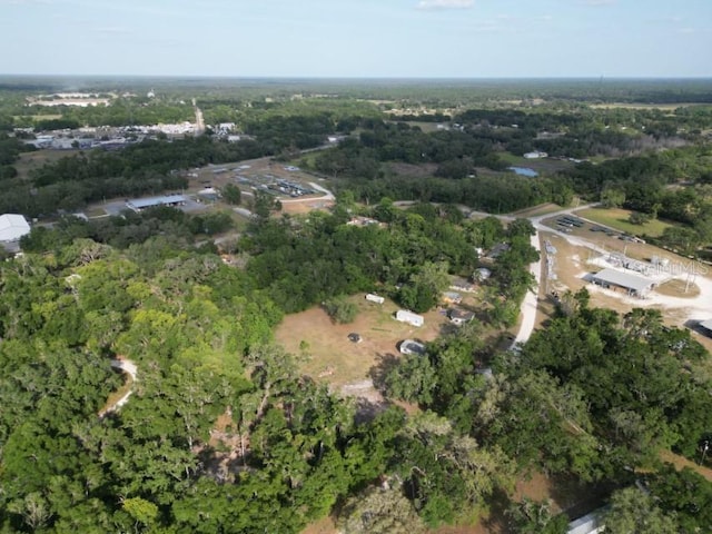 20460-20462 Trilby Cutoff Rd, Dade City, FL 33523 - photo 17