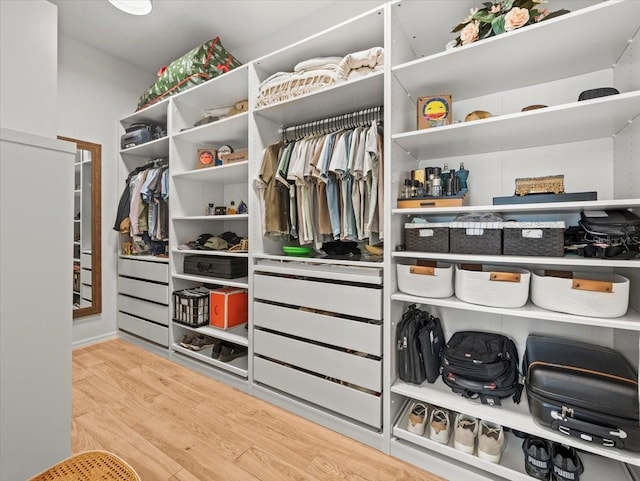 walk in closet with wood finished floors