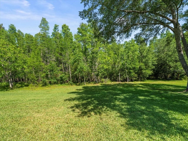 view of yard featuring a wooded view