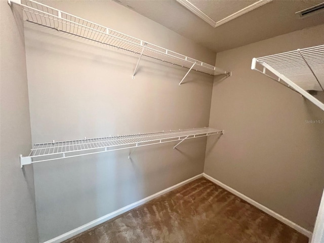 26514 Chimney Spire Ln, Wesley Chapel, FL 33544 - spacious closet featuring carpet