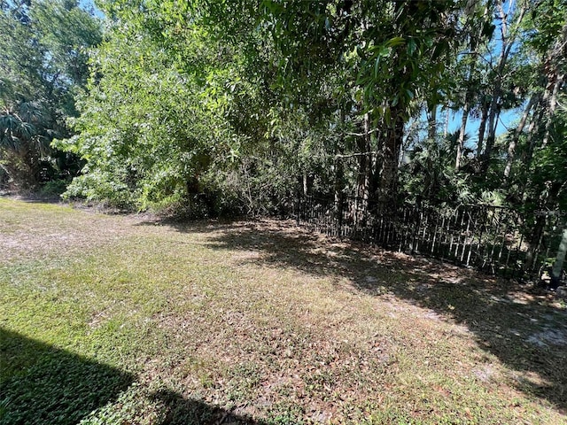 26514 Chimney Spire Ln, Wesley Chapel, FL 33544 - view of yard