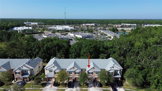 26514 Chimney Spire Ln, Wesley Chapel, FL 33544 - photo 3