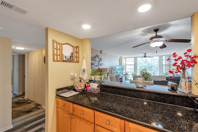 7400 Sun Island Dr S Unit 206, South Pasadena, FL 33707 - kitchen featuring a ceiling fan, wood finished floors, and dark stone counters