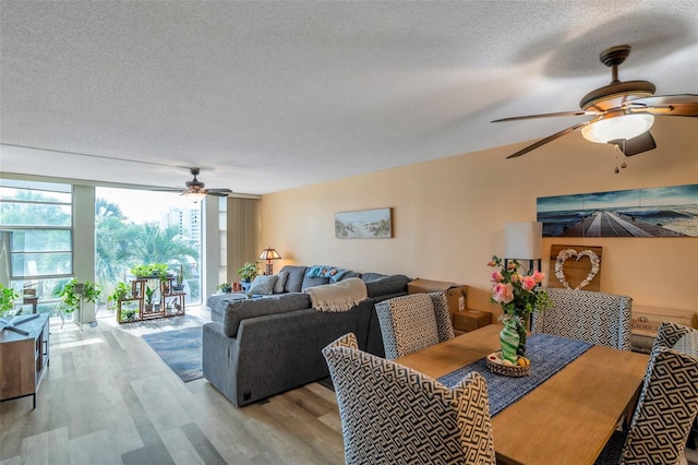 7400 Sun Island Dr S Unit 206, South Pasadena, FL 33707 - dining area with a ceiling fan, a textured ceiling, wood finished floors, and expansive windows