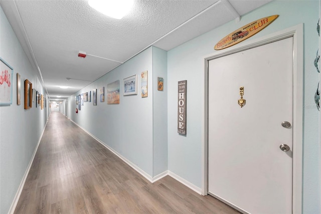 7400 Sun Island Dr S Unit 206, South Pasadena, FL 33707 - hallway featuring wood finished floors, a textured ceiling, and baseboards
