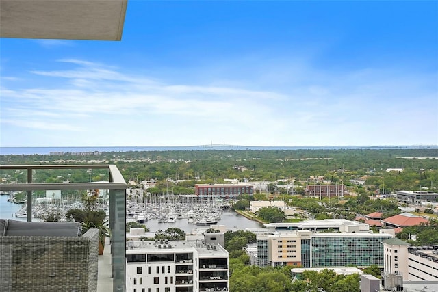 301 1st St S Unit 2305, Saint Petersburg, FL 33701 - exterior space with a water view