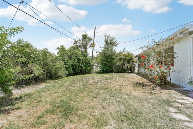 view of yard