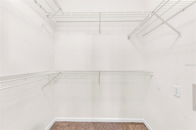 spacious closet featuring carpet