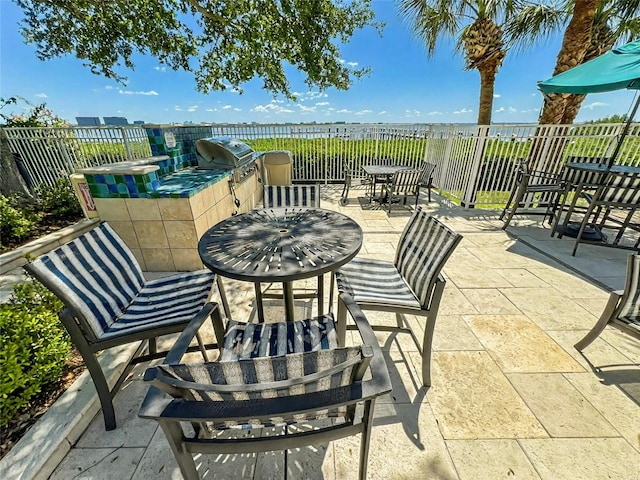 view of patio / terrace with area for grilling, grilling area, and fence