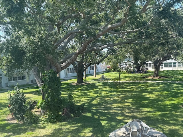 1001 77th Ave N Unit 206, Saint Petersburg, FL 33702 - view of yard