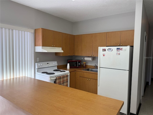 1001 77th Ave N Unit 206, Saint Petersburg, FL 33702 - kitchen featuring a sink, white appliances, light countertops, and under cabinet range hood