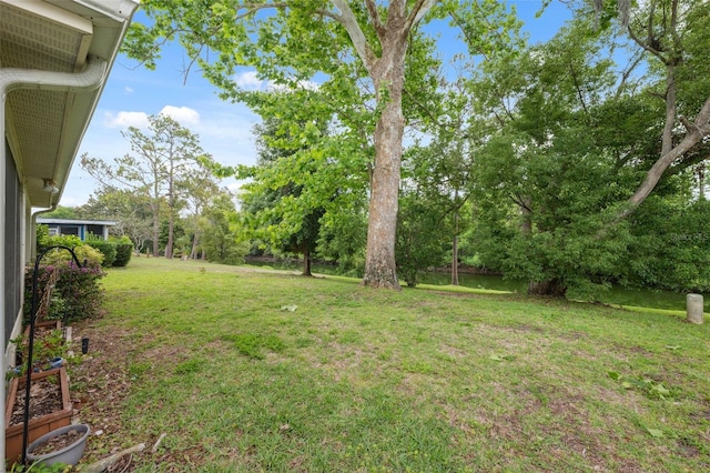 view of green lawn featuring view of scattered trees