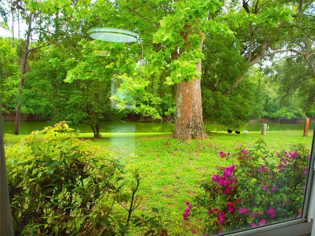 view of yard featuring a water view