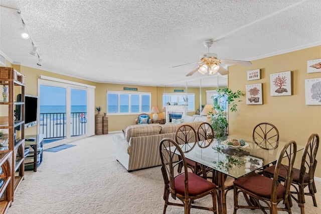 18400 Gulf Blvd Unit 1109, Indian Shores, FL 33785 - carpeted dining room featuring a ceiling fan, a textured ceiling, crown molding, and rail lighting