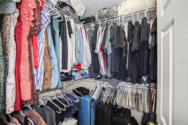 view of spacious closet