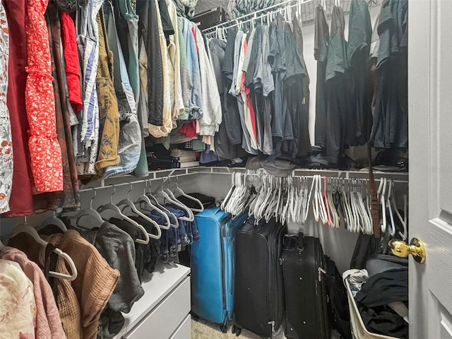 view of walk in closet