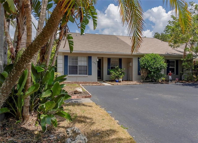 333 Bay Pl, Safety Harbor, FL 34695 - photo 2