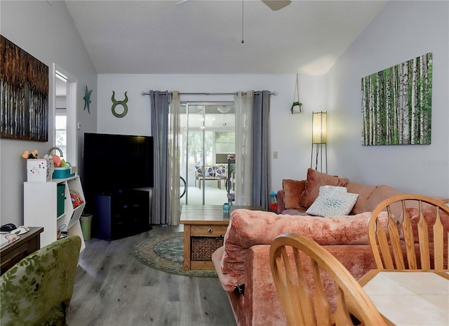333 Bay Pl, Safety Harbor, FL 34695 - photo 6