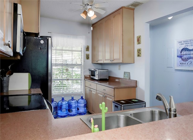 333 Bay Pl, Safety Harbor, FL 34695 - photo 12
