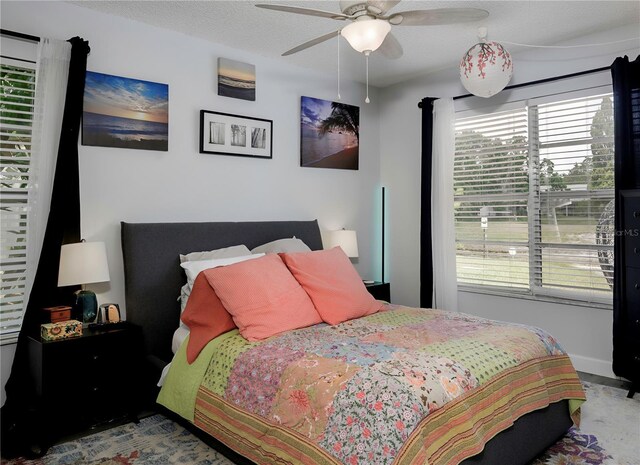 333 Bay Pl, Safety Harbor, FL 34695 - photo 17