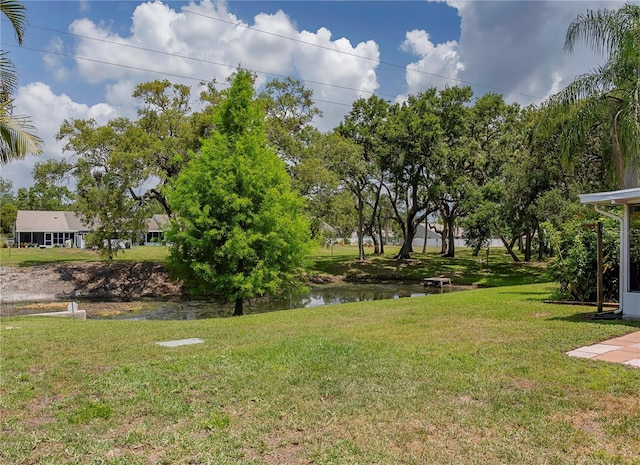 333 Bay Pl, Safety Harbor, FL 34695 - photo 34