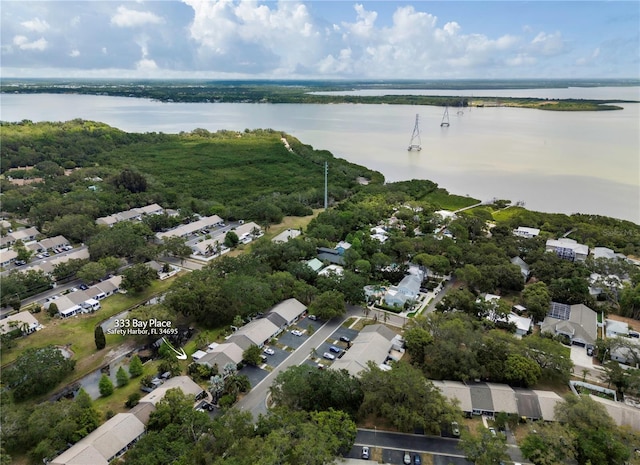 333 Bay Pl, Safety Harbor, FL 34695 - photo 38