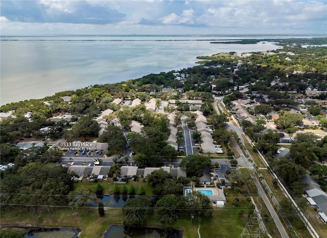333 Bay Pl, Safety Harbor, FL 34695 - photo 40