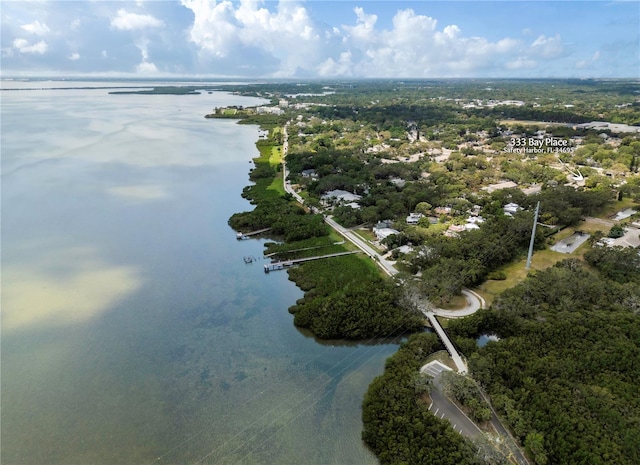 333 Bay Pl, Safety Harbor, FL 34695 - photo 41