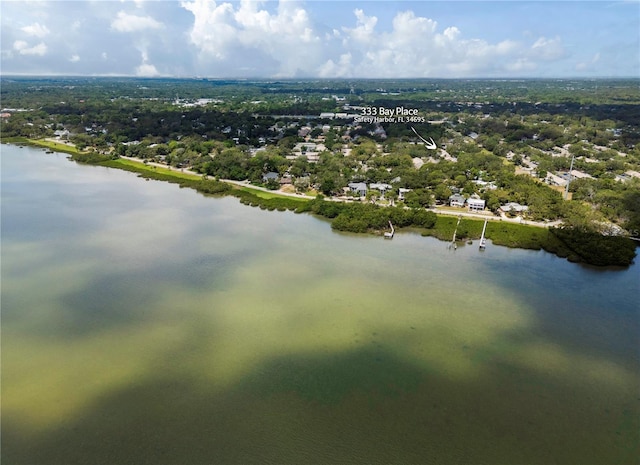 333 Bay Pl, Safety Harbor, FL 34695 - photo 42