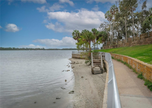 333 Bay Pl, Safety Harbor, FL 34695 - photo 46