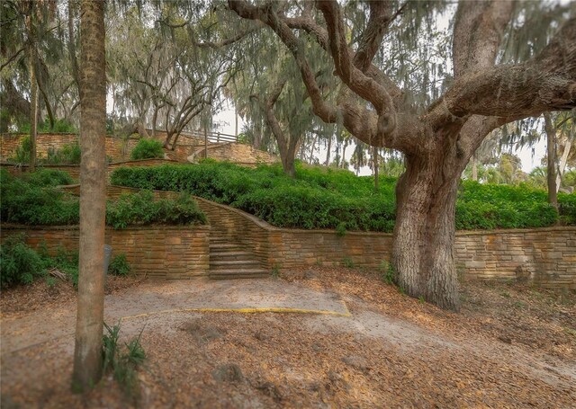 333 Bay Pl, Safety Harbor, FL 34695 - photo 47