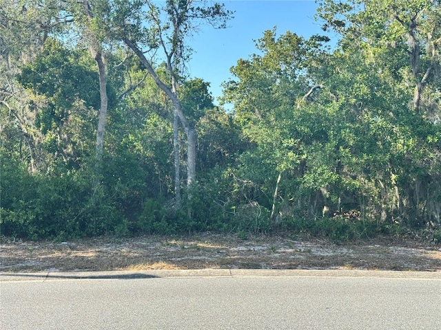 6111 Waters Way, Weeki Wachee FL, 34607 land for sale