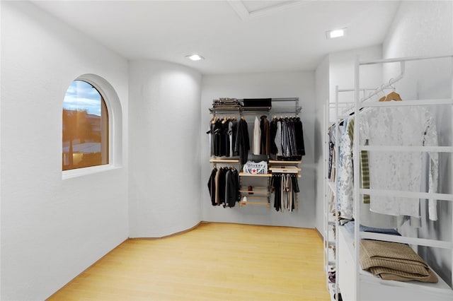 spacious closet featuring wood finished floors