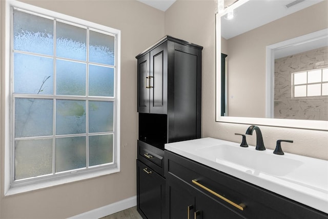 bathroom with visible vents and a sink