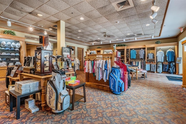 miscellaneous room with track lighting, visible vents, and carpet