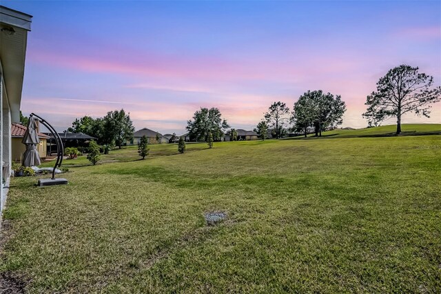 view of yard at dusk
