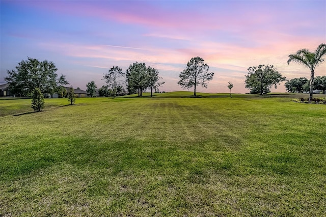 view of yard at dusk