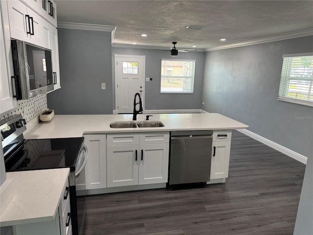 kitchen featuring a sink, ornamental molding, stainless steel appliances, and a peninsula