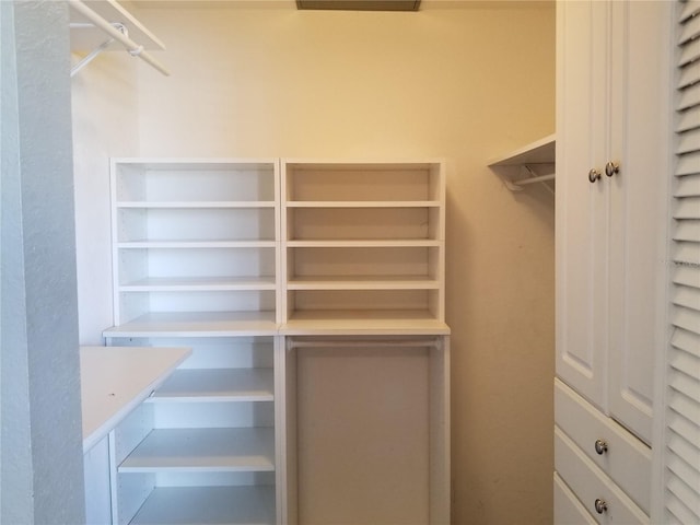 view of spacious closet