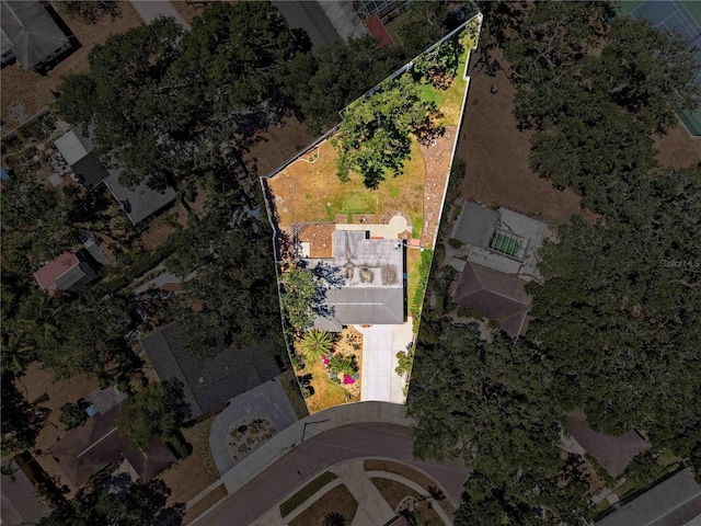 bird's eye view