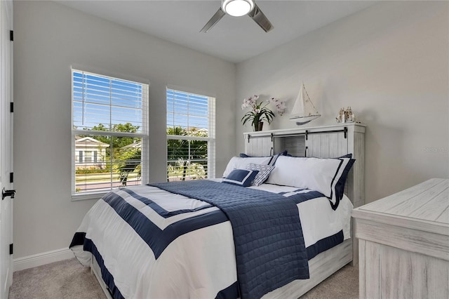 6252 Hidden Branch Dr, Apollo Beach, FL 33572 - bedroom with baseboards, multiple windows, carpet flooring, and ceiling fan