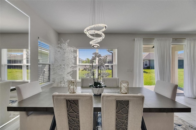 6252 Hidden Branch Dr, Apollo Beach, FL 33572 - dining area with an inviting chandelier, wood finished floors, and a healthy amount of sunlight