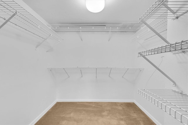 2231 Utopian Dr E Unit 117, Clearwater, FL 33763 - spacious closet featuring carpet flooring