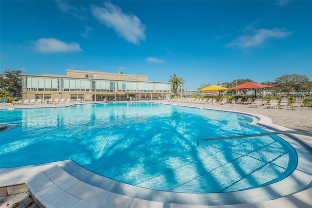 2231 Utopian Dr E Unit 117, Clearwater, FL 33763 - community pool featuring a patio