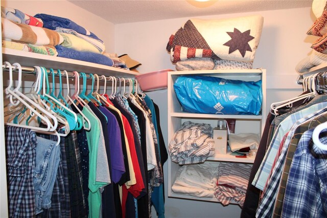 9950 47th Ave N Unit 311, Saint Petersburg, FL 33708 - view of spacious closet
