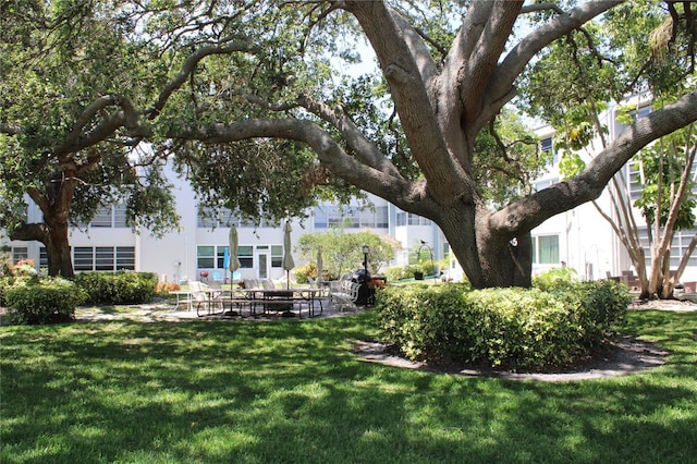 9950 47th Ave N Unit 311, Saint Petersburg, FL 33708 - view of yard featuring a patio