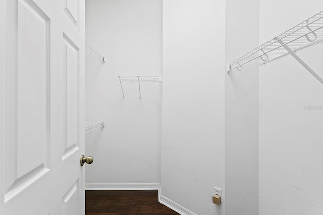 19407 Sweet Grass Way, Lutz, FL 33558 - walk in closet with wood finished floors