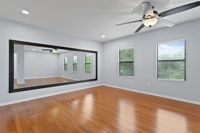 19407 Sweet Grass Way, Lutz, FL 33558 - unfurnished room featuring a wealth of natural light, baseboards, wood finished floors, and a ceiling fan