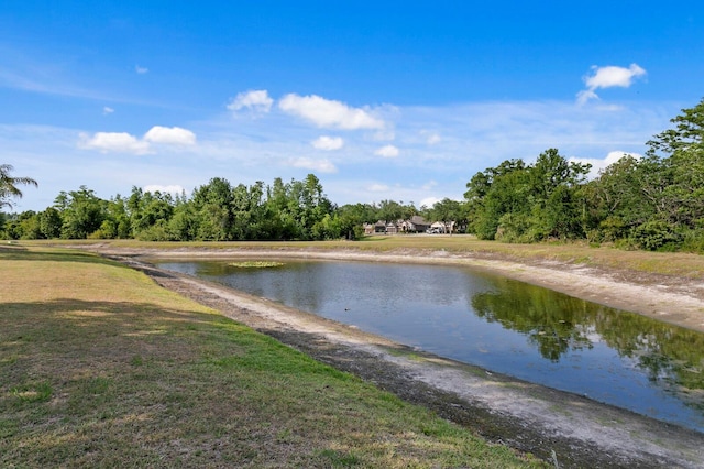 19407 Sweet Grass Way, Lutz, FL 33558 - view of water feature